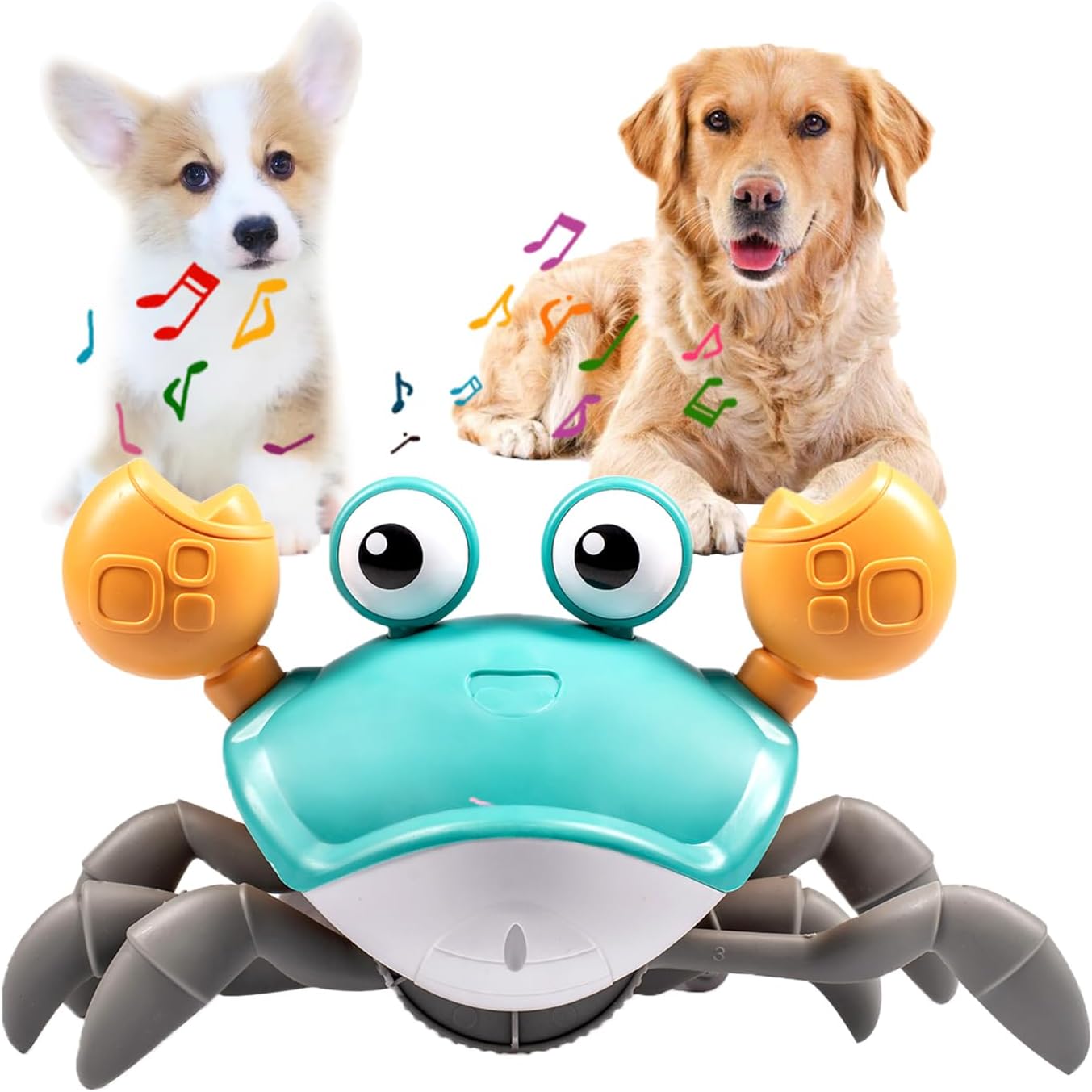 The Walking Crab: An Interactive Toy for Playful Pups